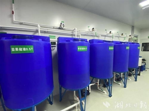 城市农业新探索 武汉发电厂与玻璃钢生物除臭箱的共生气象